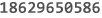 Phone Number